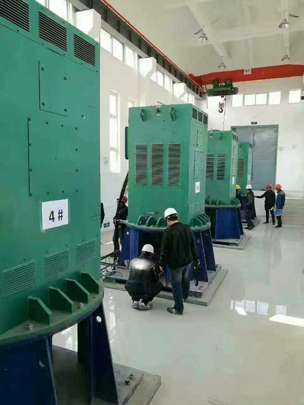 新干某污水处理厂使用我厂的立式高压电机安装现场生产厂家